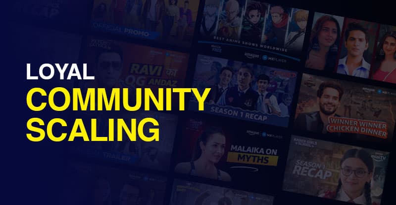 Fan Targeting & Paid Promotion