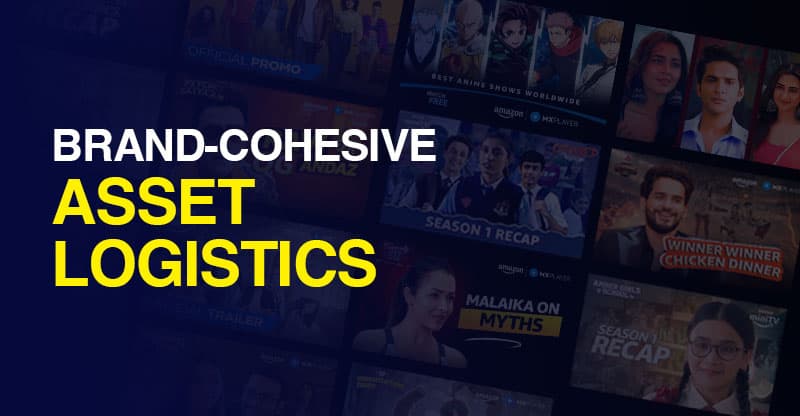 Creative Asset Management