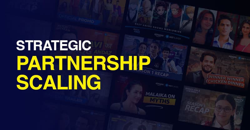 Influencer Campaign Management